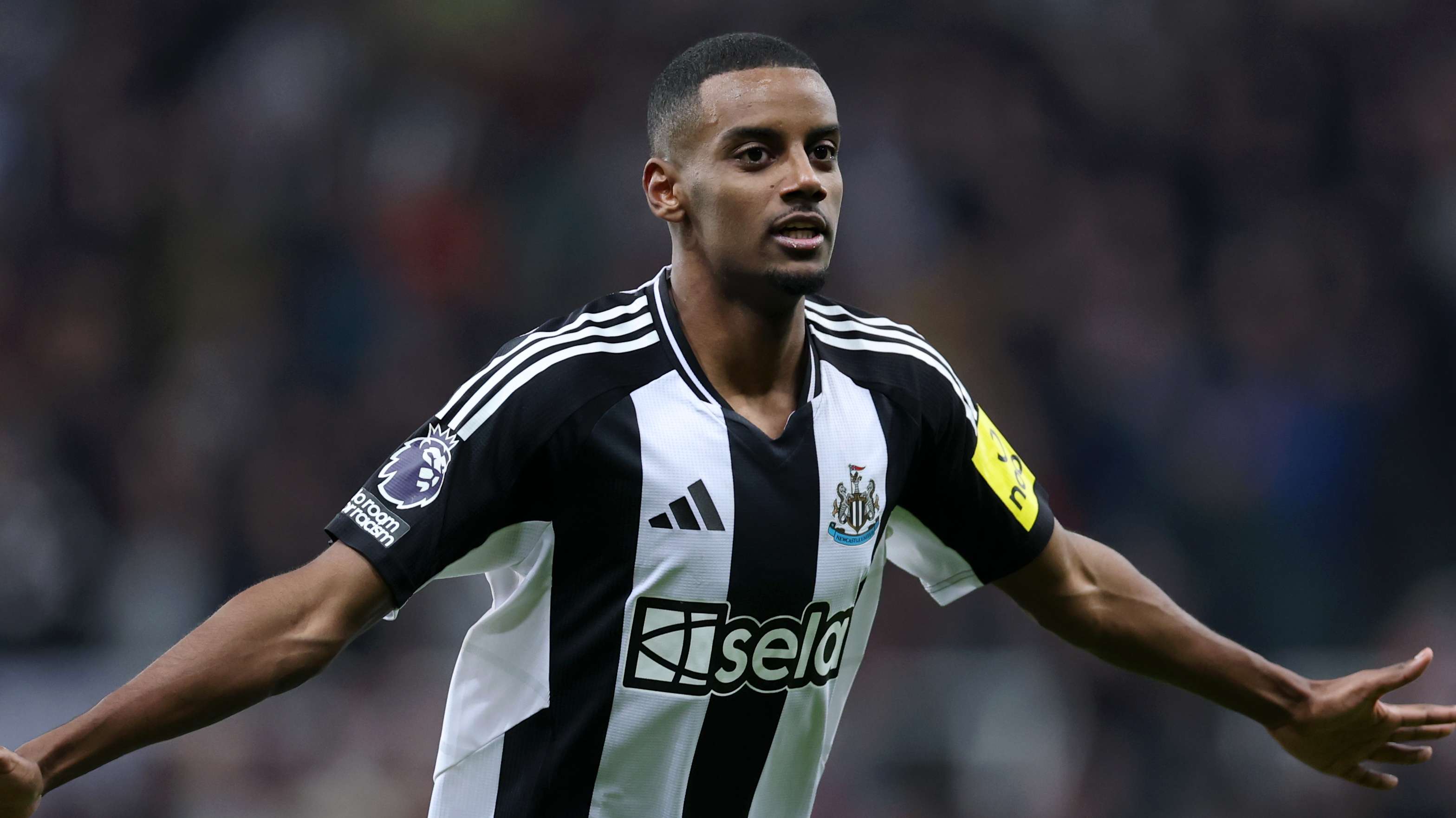 再次成为赛 再次成为赛